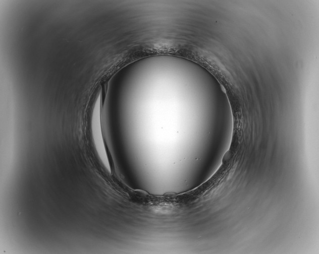 X0000094330593200711021411