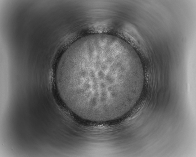 X0000094330594200711021411