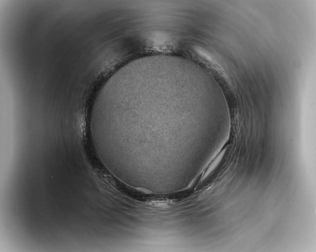 X0000094330595200711021411