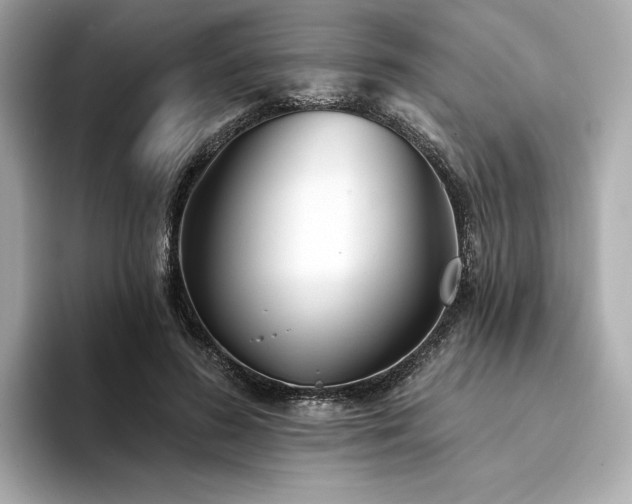 X0000094330596200711021411