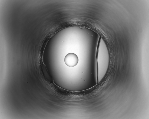 X0000094330597200711021411