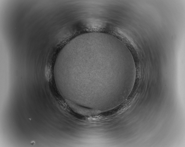 X0000094330599200711021411