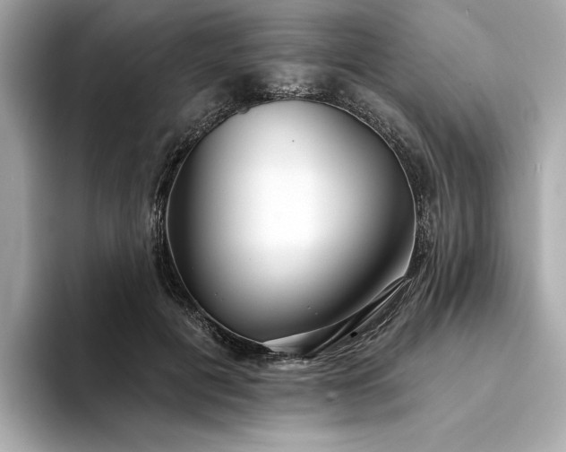 X0000094330601200711021411