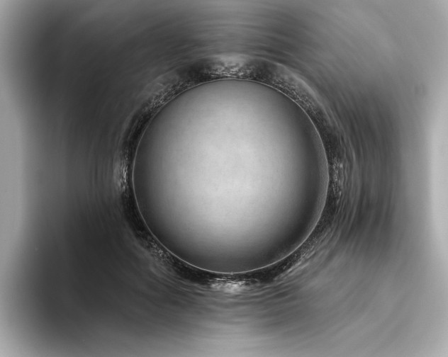 X0000094330602200711021411