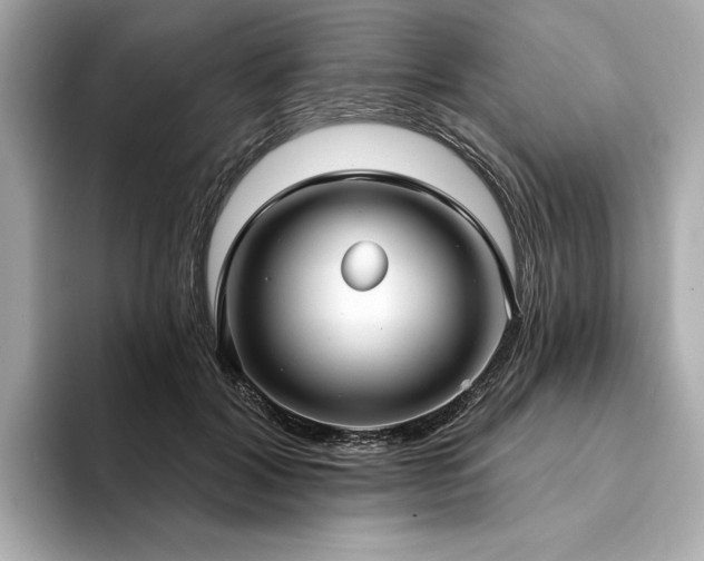 X0000094330604200711021411