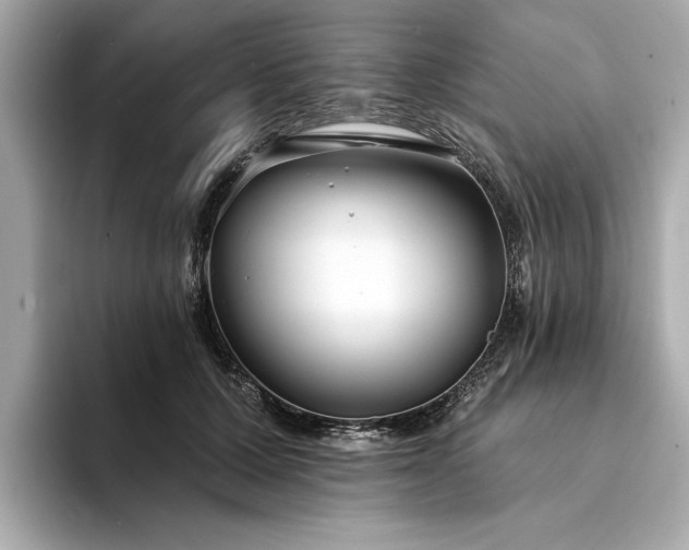 X0000094330607200711021411
