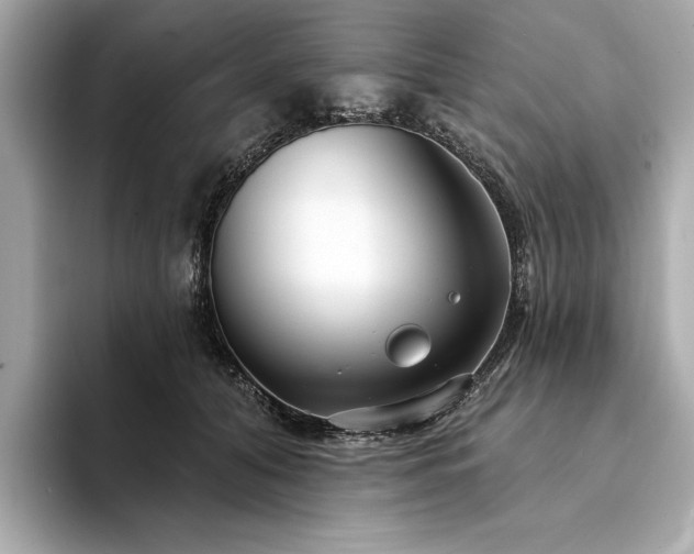 X0000094330608200711021411