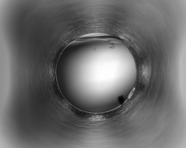 X0000094330609200711021411