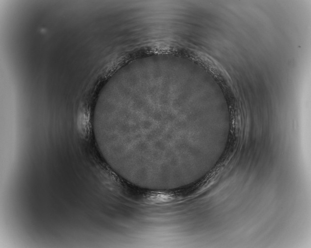 X0000094330610200711021411