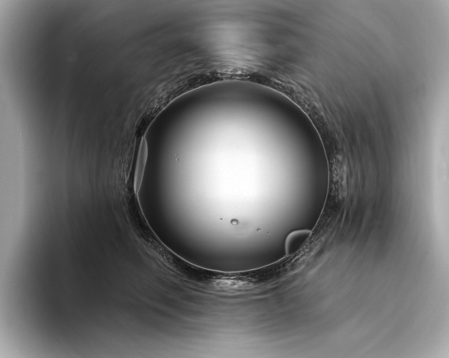 X0000094330614200711021411