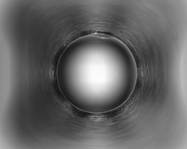 X0000094330615200711021411