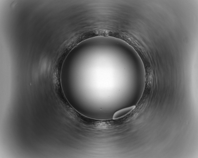 X0000094330616200711021411
