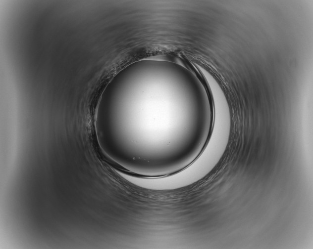 X0000094330617200711021411