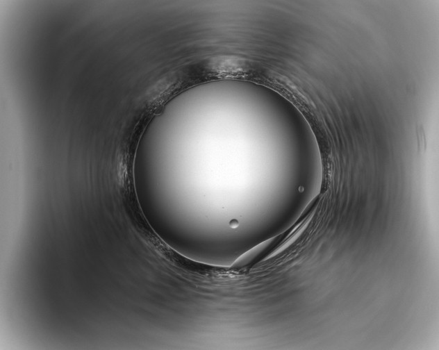 X0000094330618200711021411
