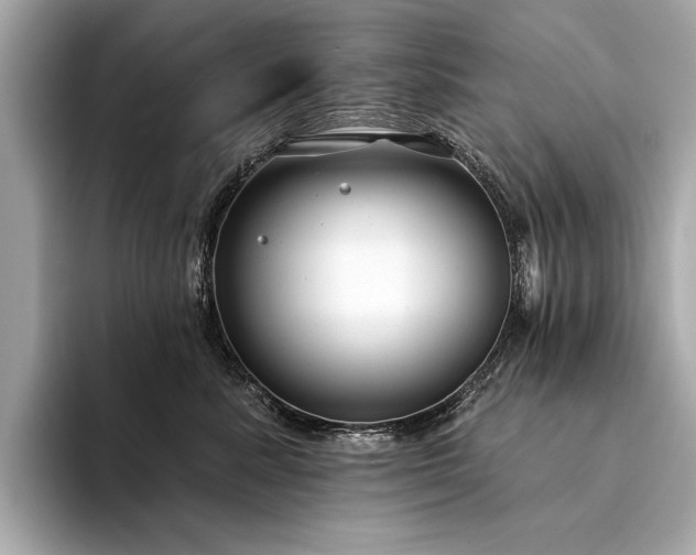 X0000094330619200711021411