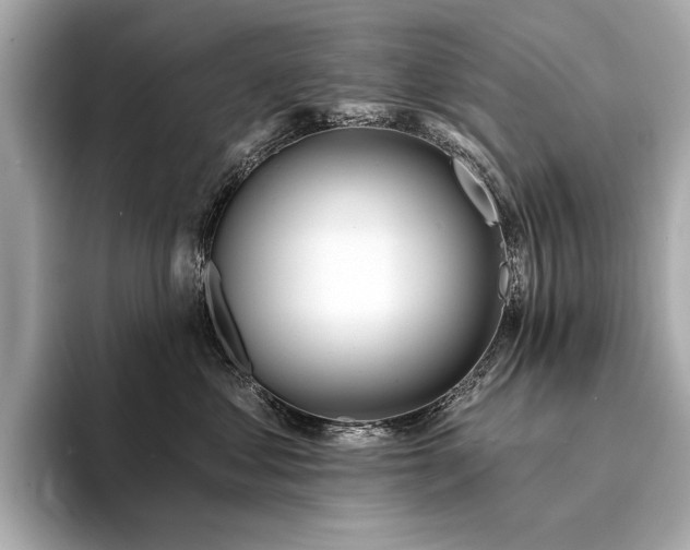 X0000094330621200711021411
