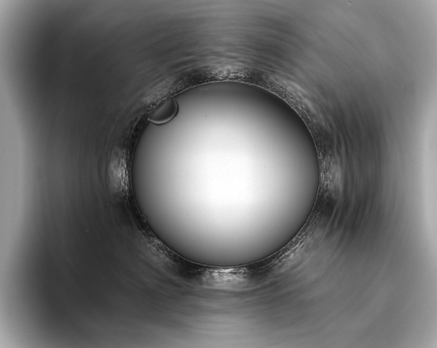 X0000094330622200711021411