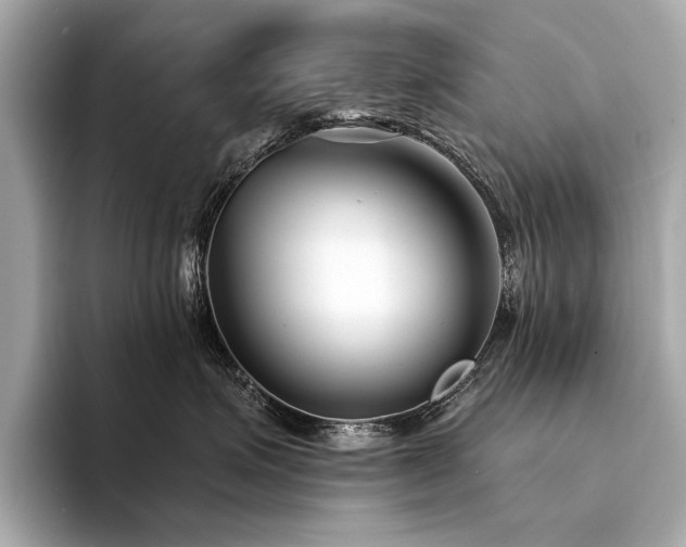 X0000094330623200711021411