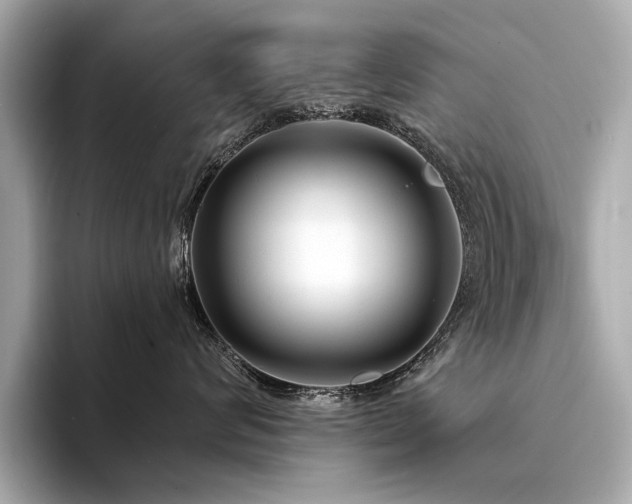 X0000094330624200711021411