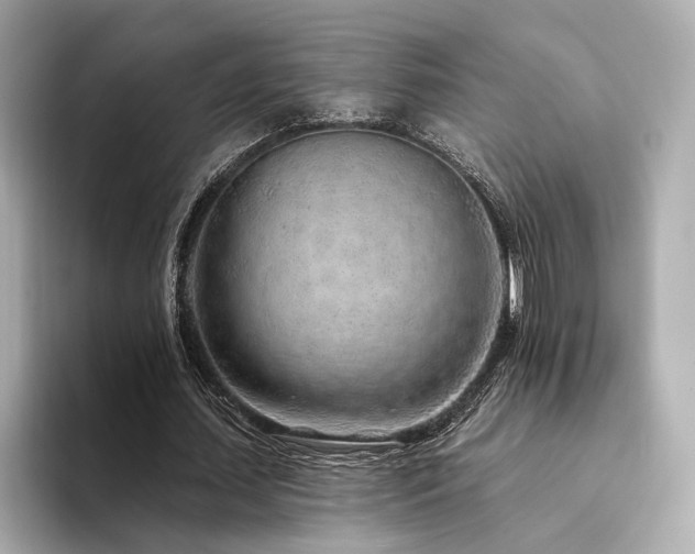 X0000094330627200711021410