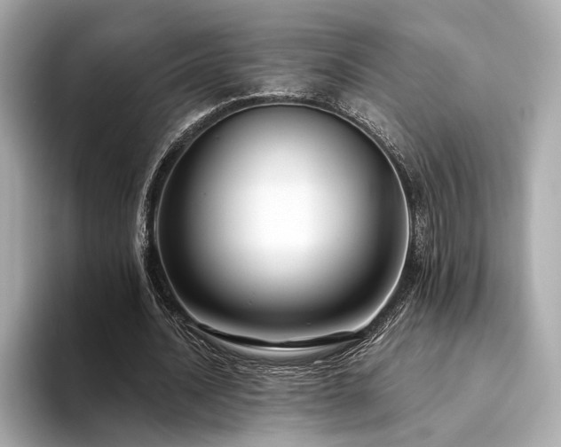 X0000094330628200711021410