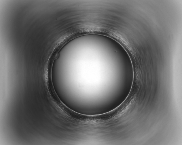 X0000094330629200711021410
