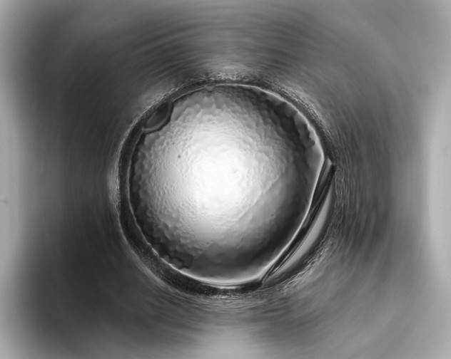 X0000094330630200711021410