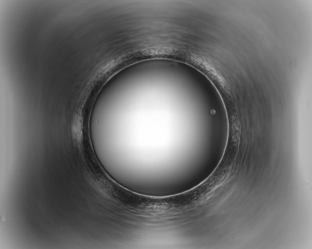 X0000094330631200711021410