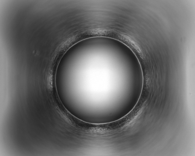 X0000094330633200711021410
