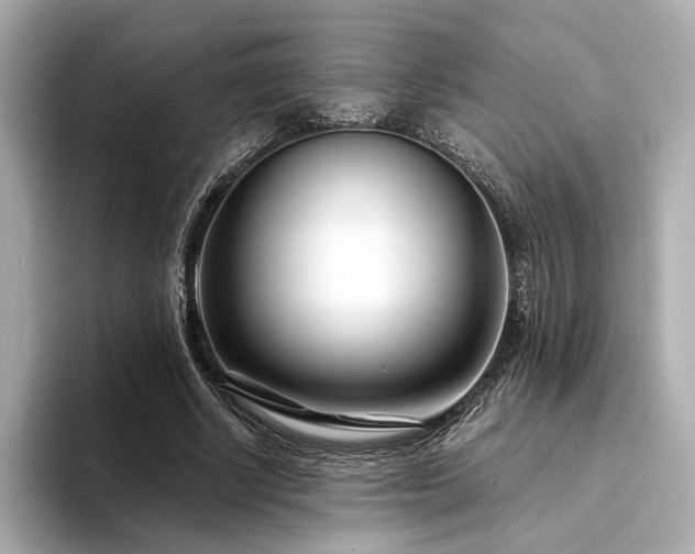 X0000094330634200711021410