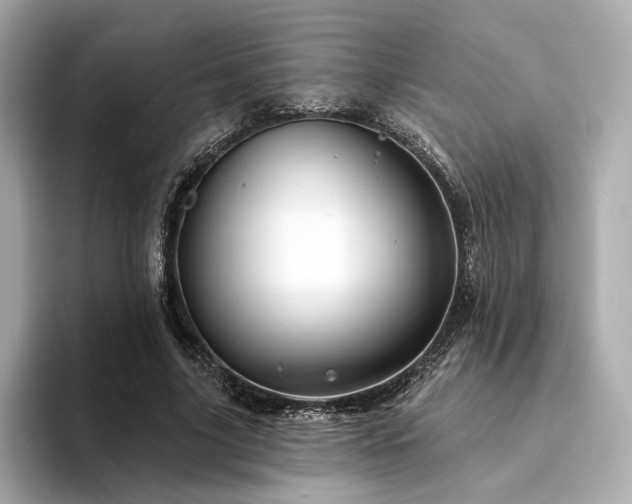 X0000094330635200711021410