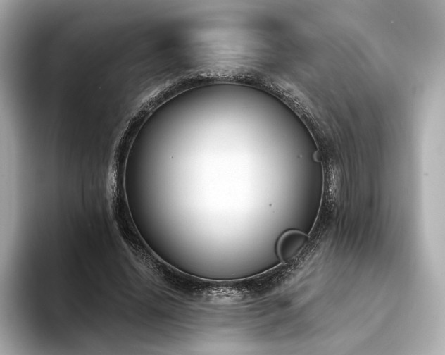 X0000094330636200711021410