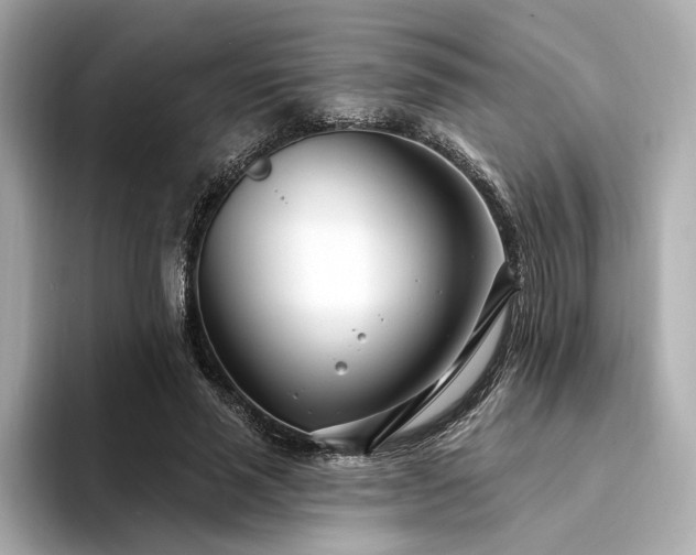 X0000094330637200711021410