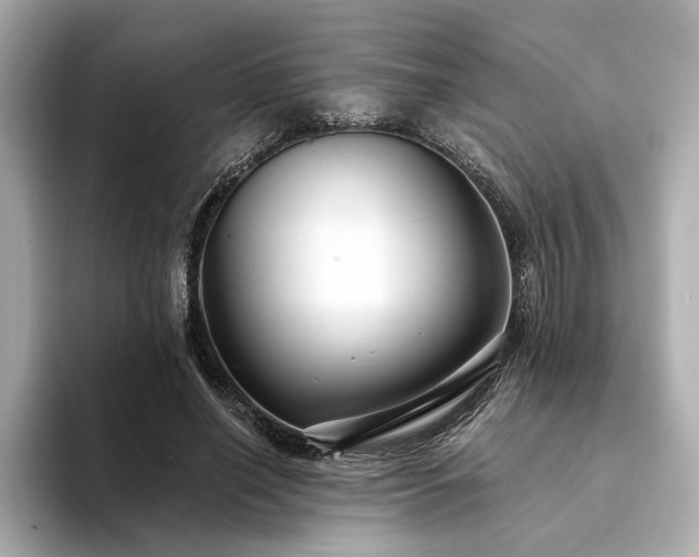 X0000094330638200711021410