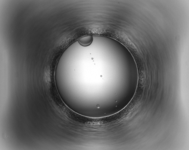 X0000094330639200711021410