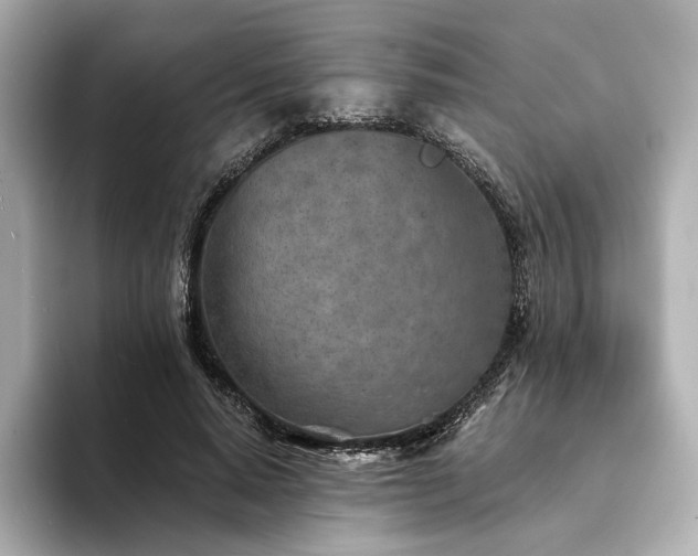 X0000094330640200711021410