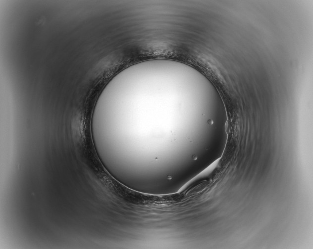 X0000094330643200711021410