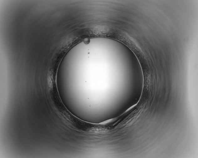 X0000094330644200711021410