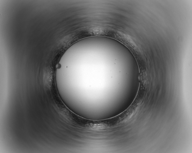 X0000094330645200711021411
