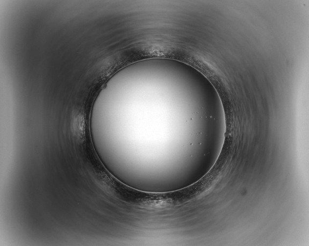 X0000094330646200711021411