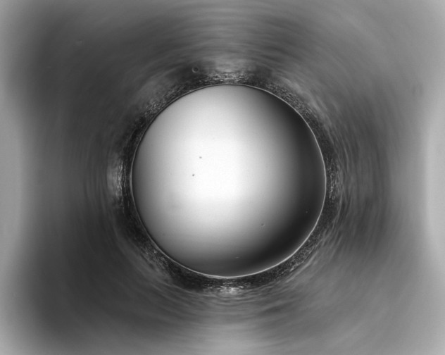 X0000094330647200711021411