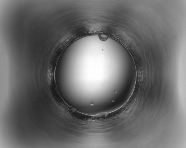 X0000094330648200711021411