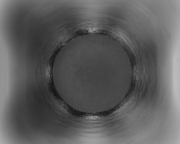 X0000094330650200711021411