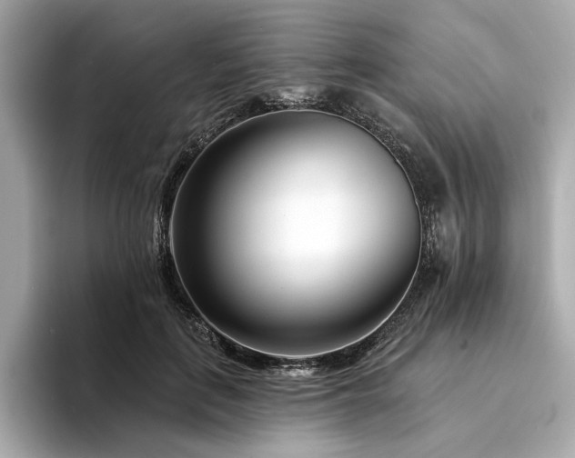 X0000094330651200711021411