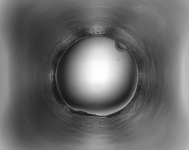 X0000094330652200711021411