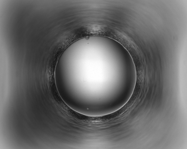 X0000094330653200711021411