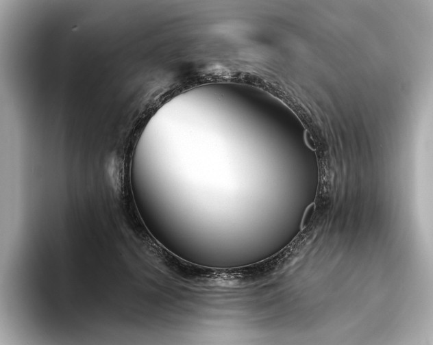 X0000094330656200711021411