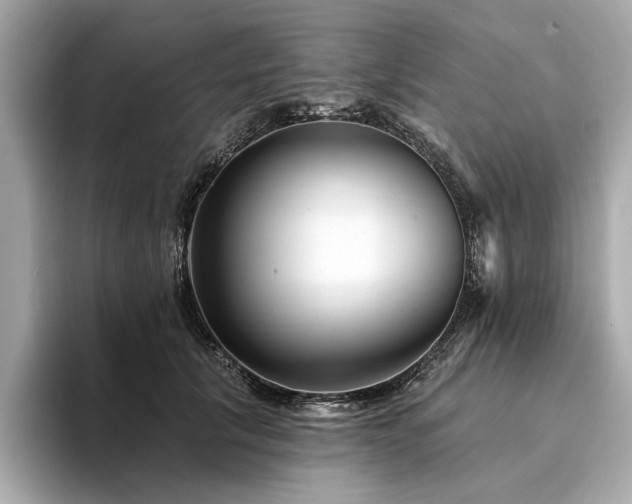 X0000094330657200711021411