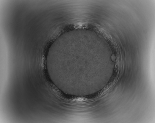 X0000094330659200711021411