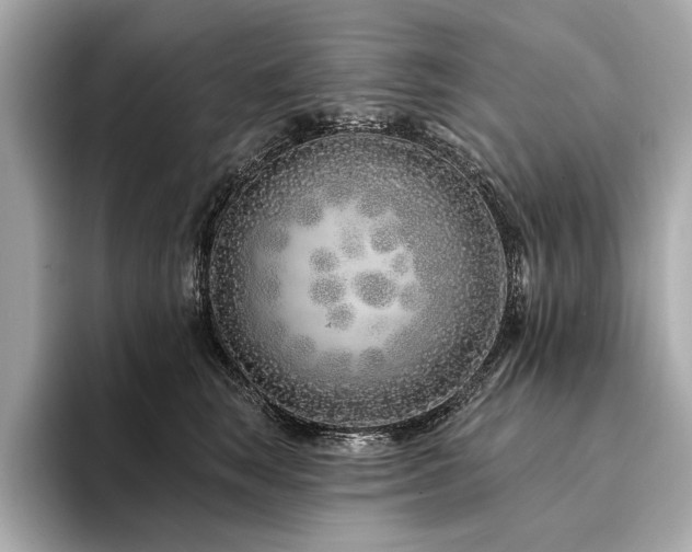 X0000094330663200711021411